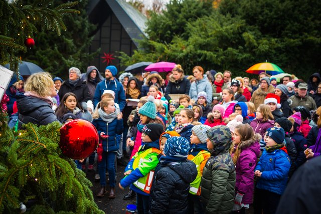Eröffnet wurde der Weihnachtsmarkt mit “ dem traditionellen Weihnachtsbaum Aufstellen“ und Gesang der Grundschul- und Kindergartenkinder
