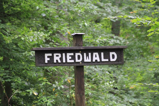 FriedWald