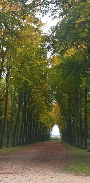 Ein herbstlicher Spaziergang lohnt sich immer, denn der Herbst hat schönne Fassetten. Foto: Heike Löhrer