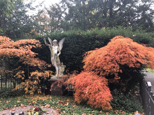 Alter Friedhof in Bonn: Impressionen im November