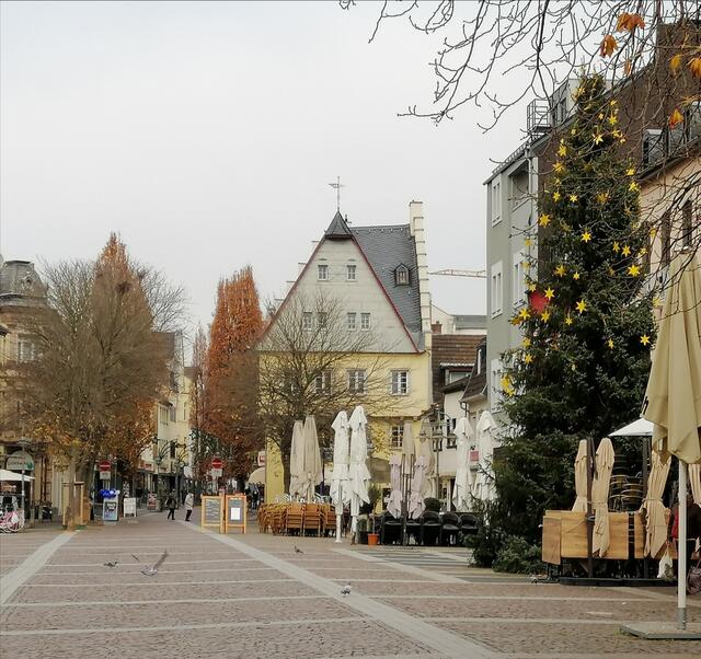 Die hohe Tanne zum Teil geschmückt. Nur die Weihnachtsbuden fehlen. Auf die müssen wir leider bis nächstes Jahr warten.