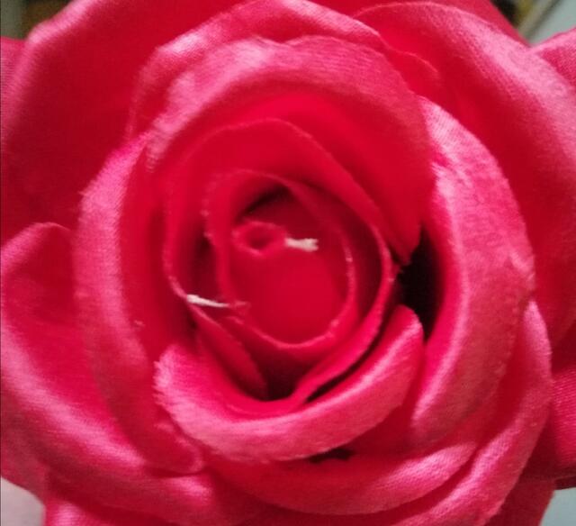 In diesem Jahr gibt es keine Rosen zum Weltfrauentag bzw. es werden keine verteilt, wegen derzeitiger Kontaktbeschränkungen.