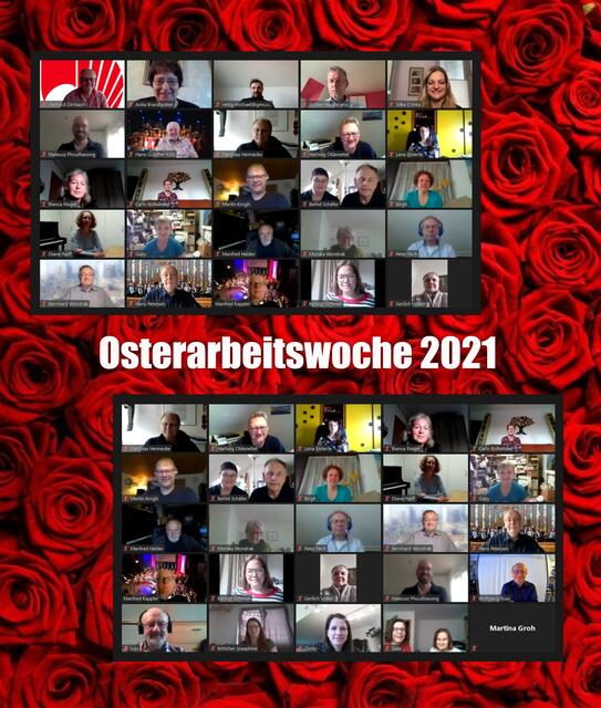 Das obligatorische Teilnehmer-Foto - dieses Mal als Screenshops der Zoom-Videokonferenz zum Abschluss.