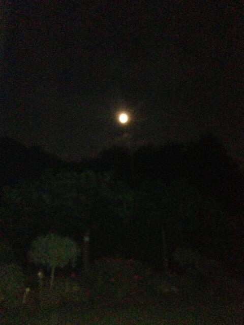 Zeitweise gab es außer dem Mond keine Lichtquelle im Dorf (Symbolfoto).