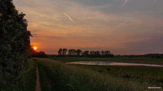 Sonnenuntergang über dem Naturschutzgebiet "Bedburger Kläerteiche". Leider istder Wasserstand bereits wieder sehr gering.